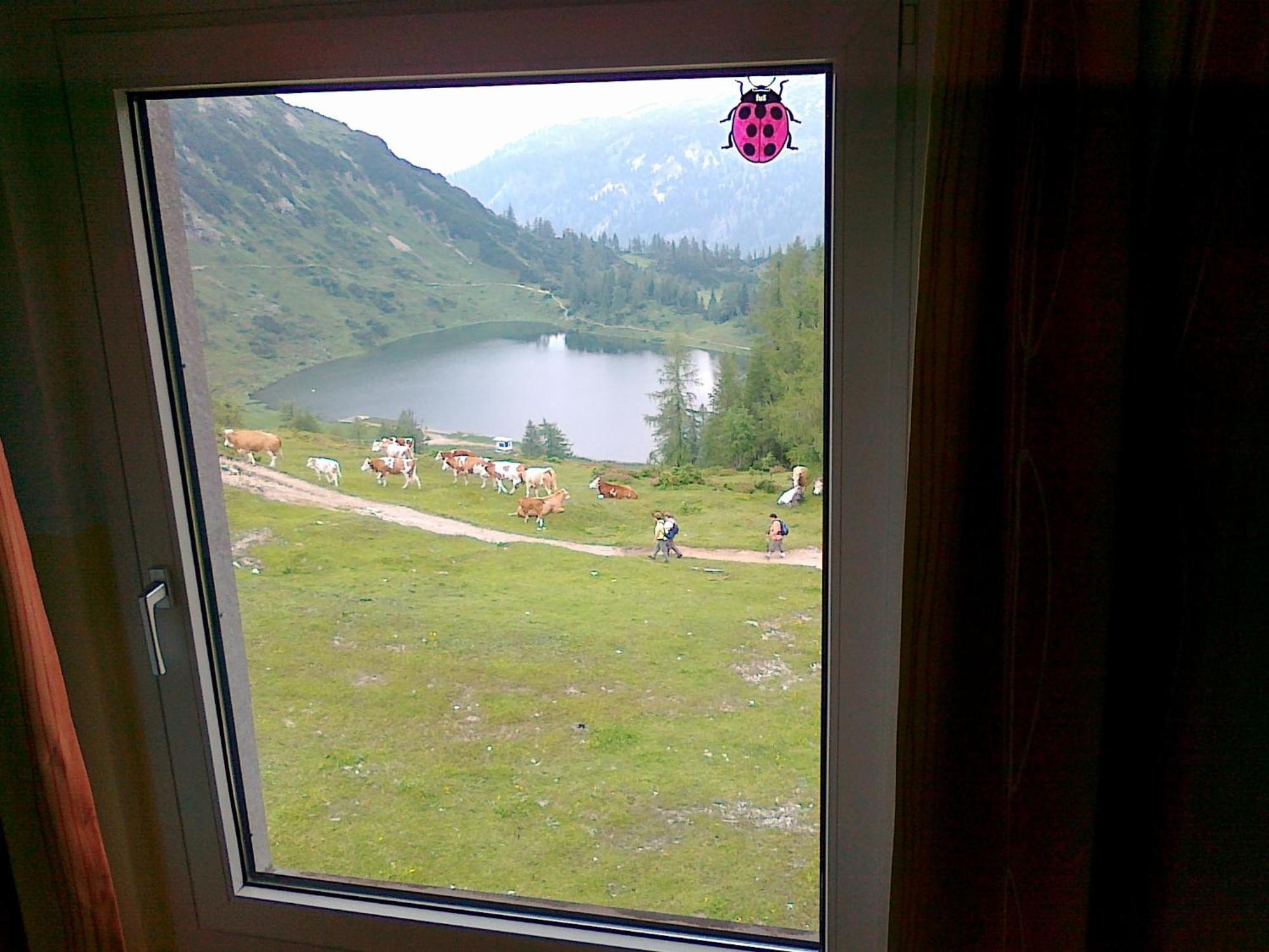 Hotel Berghof Tauplitzalm Екстер'єр фото